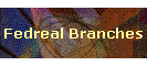 Fedreal Branches
