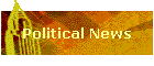 Political News