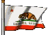 Cal Flag